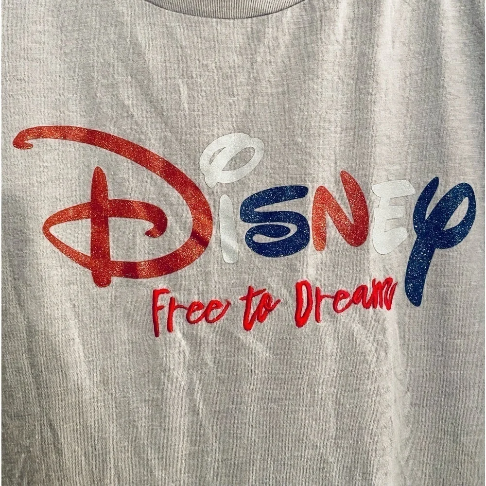 Disney Free to Dream Juniors Women's Size XL Gray Graphic Cropped Top Shirt